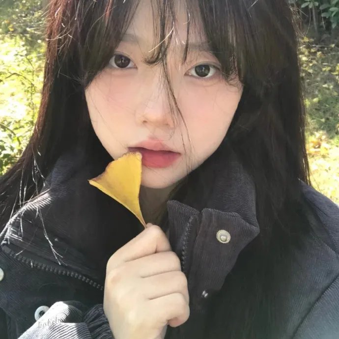女导与强盗