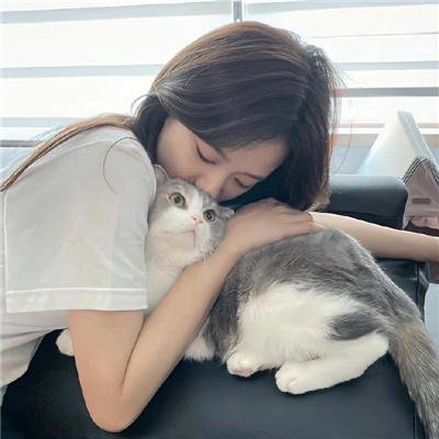 美丽的凯特