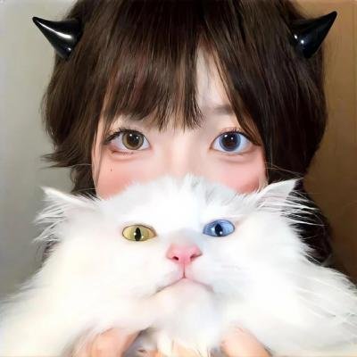 猪扒大联盟